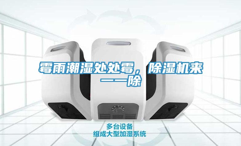 霉雨潮濕處處霉，除濕機(jī)來(lái)一一除