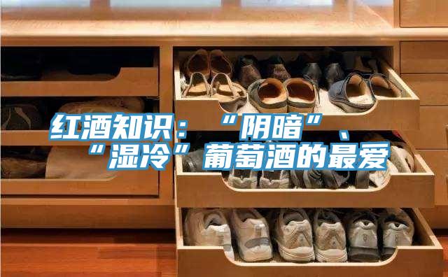 紅酒知識：“陰暗”、“濕冷”葡萄酒的最愛