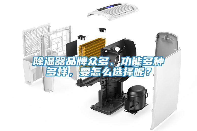 除濕器品牌眾多、功能多種多樣，要怎么選擇呢？