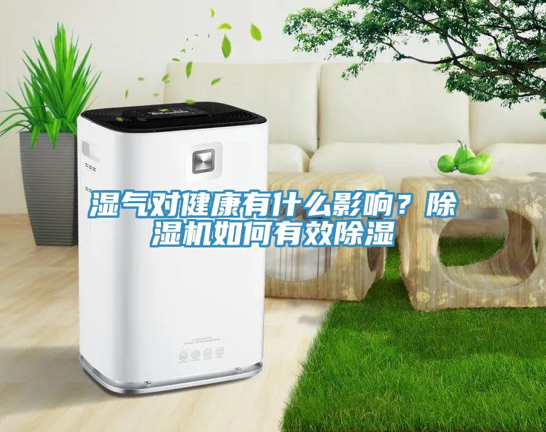 濕氣對健康有什么影響？除濕機如何有效除濕