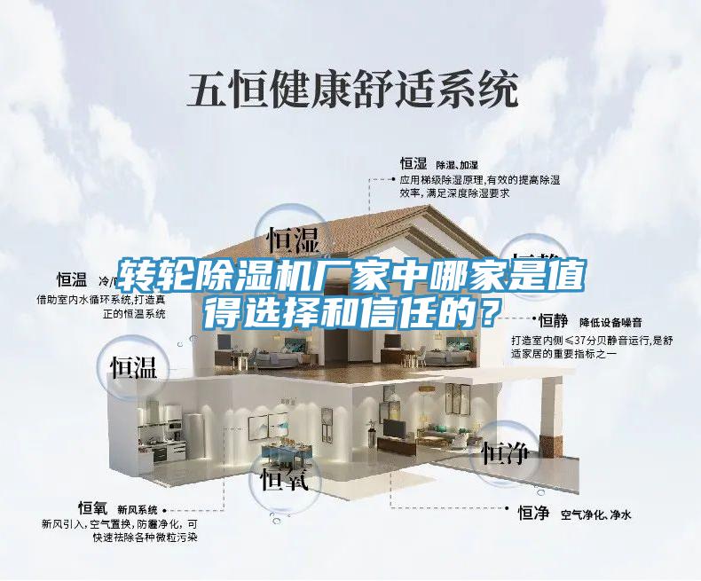 轉(zhuǎn)輪除濕機(jī)廠家中哪家是值得選擇和信任的？