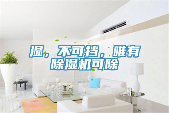濕，不可擋，唯有除濕機(jī)可除