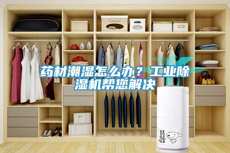 藥材潮濕怎么辦？工業(yè)除濕機幫您解決