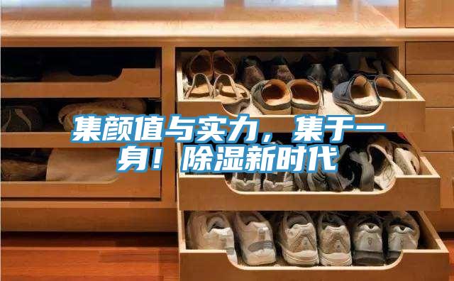 集顏值與實(shí)力，集于一身！除濕新時(shí)代