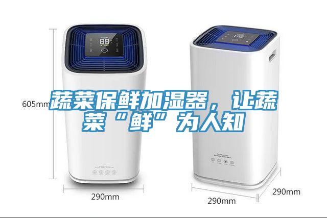蔬菜保鮮加濕器，讓蔬菜“鮮”為人知