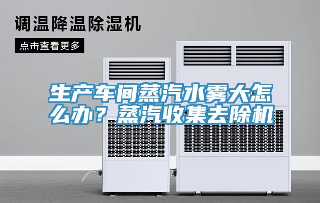 生產車間蒸汽水霧大怎么辦？蒸汽收集去除機