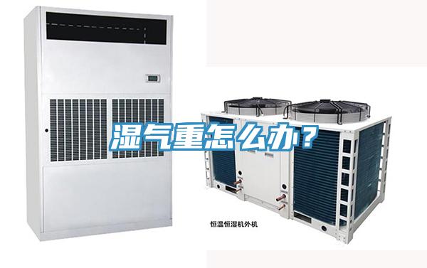 濕氣重怎么辦？