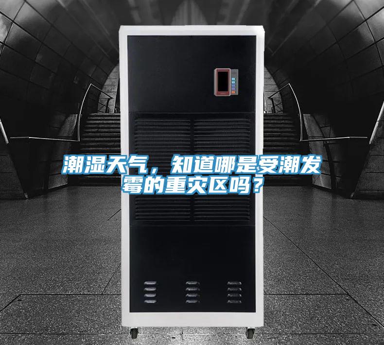 潮濕天氣，知道哪是受潮發(fā)霉的重災(zāi)區(qū)嗎？