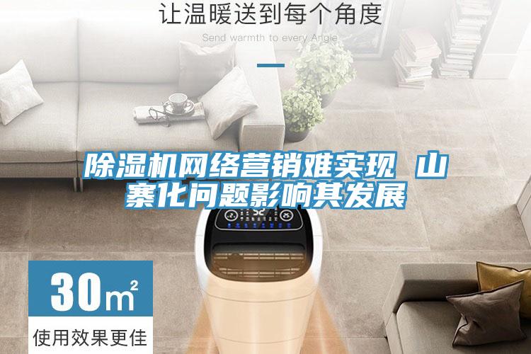 除濕機網絡營銷難實現(xiàn) 山寨化問題影響其發(fā)展