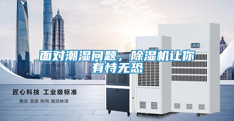 面對潮濕問題，除濕機讓你有恃無恐