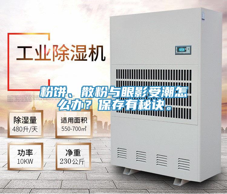 粉餅、散粉與眼影受潮怎么辦？保存有秘訣。