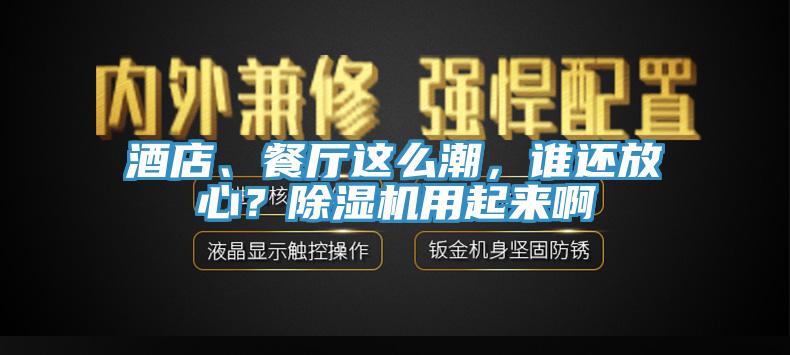 酒店、餐廳這么潮，誰還放心？除濕機用起來啊