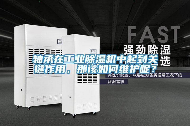 軸承在工業(yè)除濕機(jī)中起到關(guān)鍵作用，那該如何維護(hù)呢？