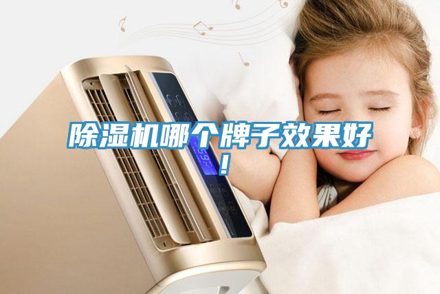 除濕機(jī)哪個(gè)牌子效果好！