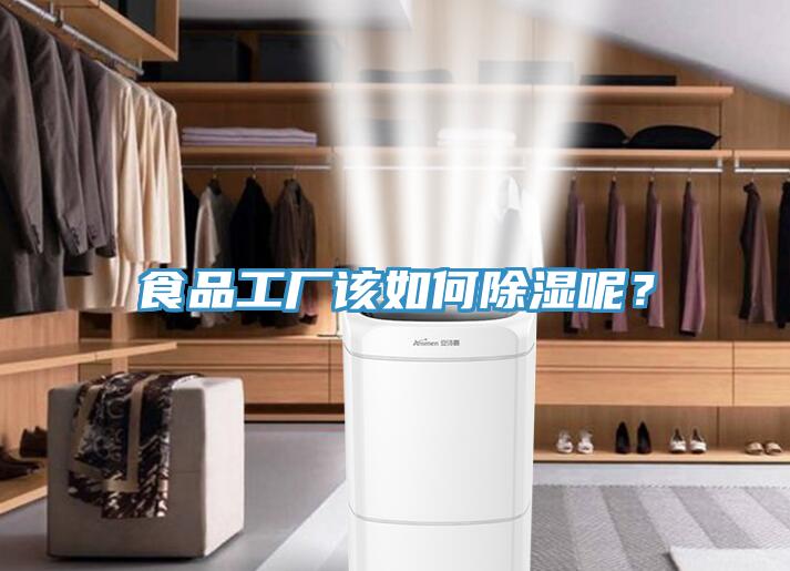食品工廠該如何除濕呢？