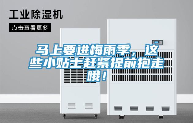 馬上要進梅雨季，這些小貼士趕緊提前抱走哦！