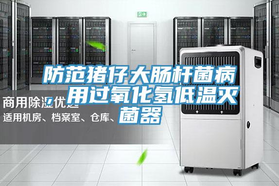 防范豬仔大腸桿菌病，用過氧化氫低溫滅菌器