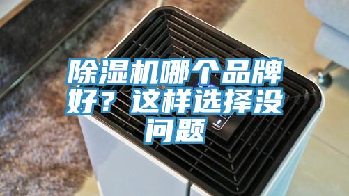 除濕機(jī)哪個(gè)品牌好？這樣選擇沒問題