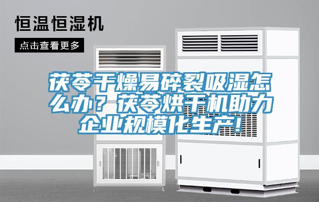 茯苓干燥易碎裂吸濕怎么辦？茯苓烘干機助力企業(yè)規(guī)?；a(chǎn)!