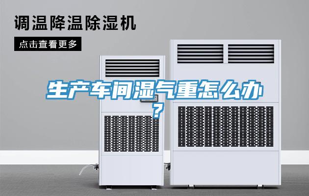 生產車間濕氣重怎么辦？