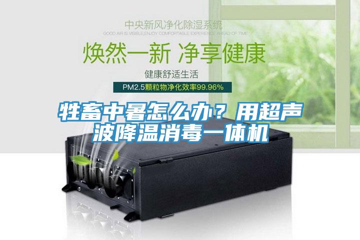 牲畜中暑怎么辦？用超聲波降溫消毒一體機(jī)