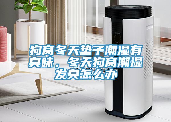 狗窩冬天墊子潮濕有臭味，冬天狗窩潮濕發(fā)臭怎么辦