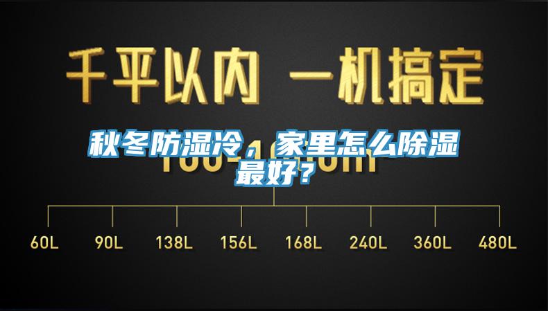 秋冬防濕冷，家里怎么除濕最好？