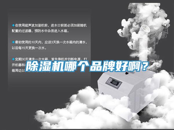 除濕機(jī)哪個(gè)品牌好啊？