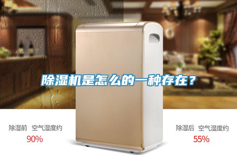 除濕機(jī)是怎么的一種存在？
