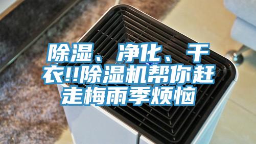 除濕、凈化、干衣!!除濕機(jī)幫你趕走梅雨季煩惱