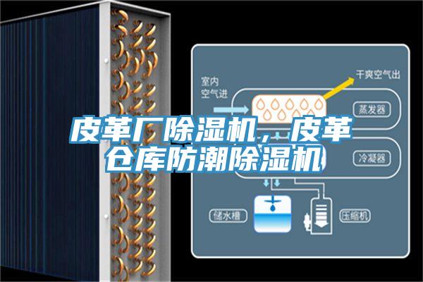 皮革廠除濕機(jī)，皮革倉(cāng)庫(kù)防潮除濕機(jī)