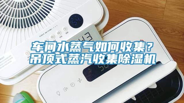 車間水蒸氣如何收集？吊頂式蒸汽收集除濕機(jī)