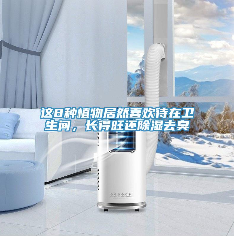 這8種植物居然喜歡待在衛(wèi)生間，長得旺還除濕去臭