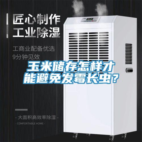 玉米儲(chǔ)存怎樣才能避免發(fā)霉長(zhǎng)蟲？
