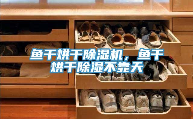 魚干烘干除濕機，魚干烘干除濕不靠天