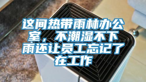 這間熱帶雨林辦公室，不潮濕不下雨還讓員工忘記了在工作