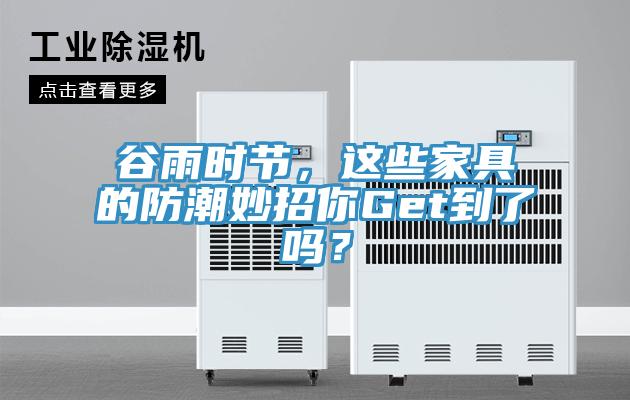 谷雨時(shí)節(jié)，這些家具的防潮妙招你Get到了嗎？
