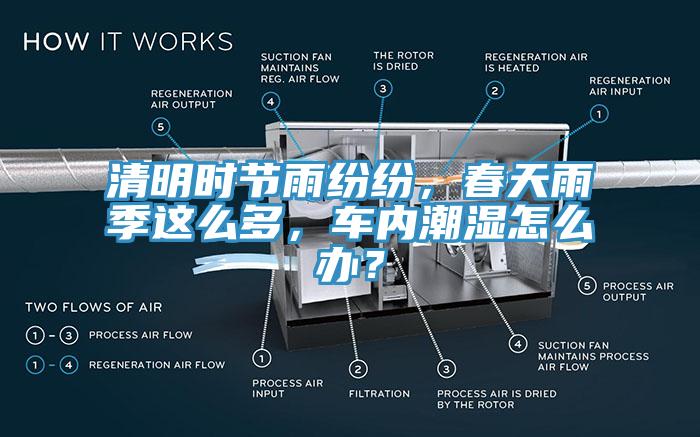 清明時(shí)節(jié)雨紛紛，春天雨季這么多，車(chē)內(nèi)潮濕怎么辦？
