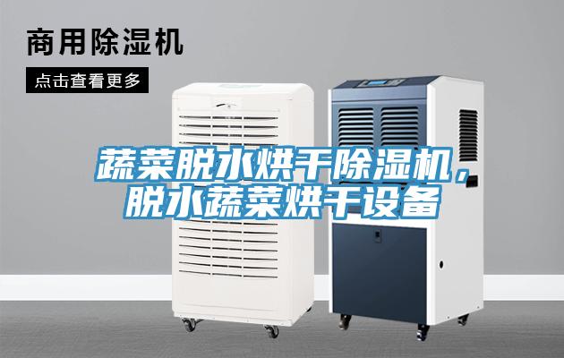 蔬菜脫水烘干除濕機(jī)，脫水蔬菜烘干設(shè)備