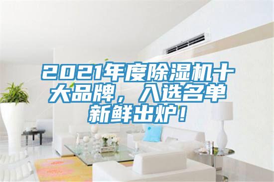 2021年度除濕機十大品牌，入選名單新鮮出爐！