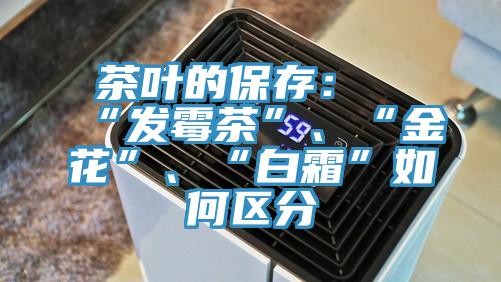 茶葉的保存：“發(fā)霉茶”、“金花”、“白霜”如何區(qū)分