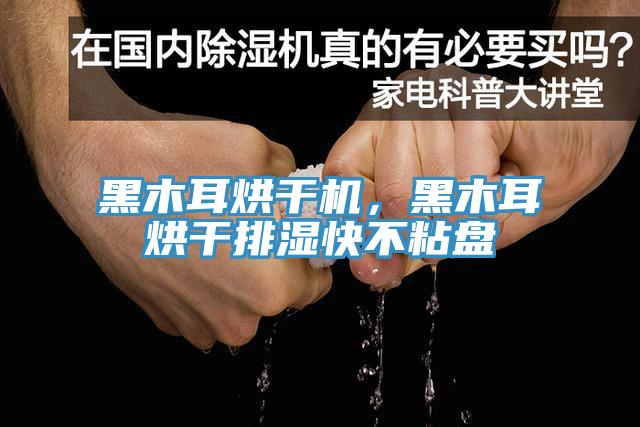 黑木耳烘干機(jī)，黑木耳烘干排濕快不粘盤