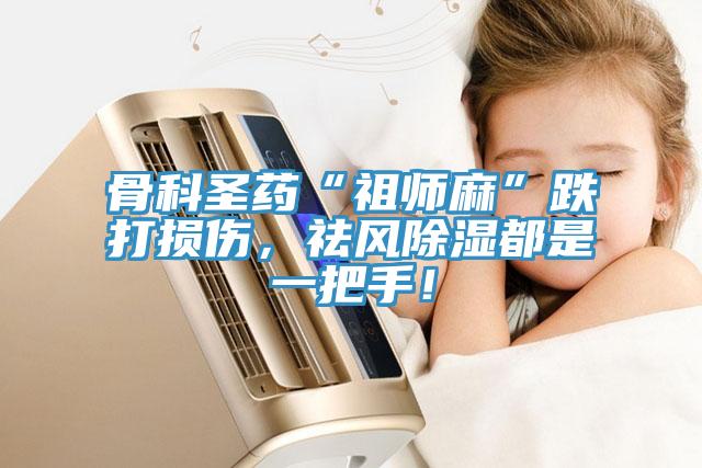 骨科圣藥“祖師麻”跌打損傷，祛風除濕都是一把手！
