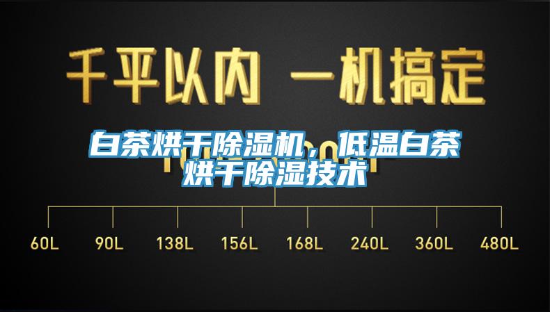 白茶烘干除濕機(jī)，低溫白茶烘干除濕技術(shù)