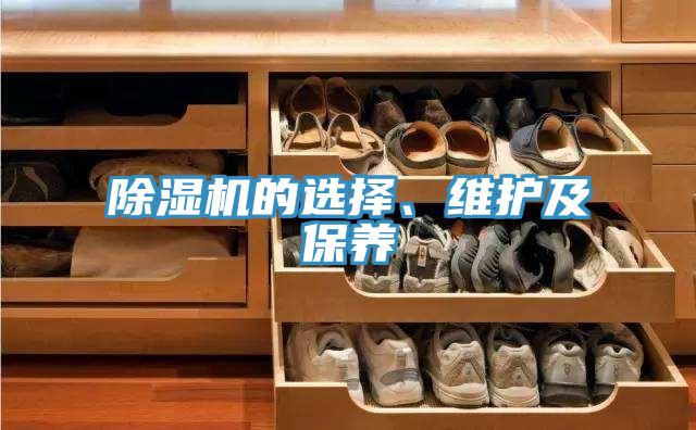 除濕機(jī)的選擇、維護(hù)及保養(yǎng)