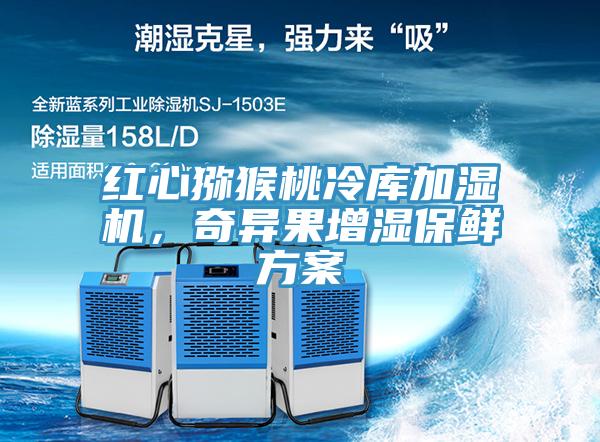 紅心獼猴桃冷庫加濕機，奇異果增濕保鮮方案