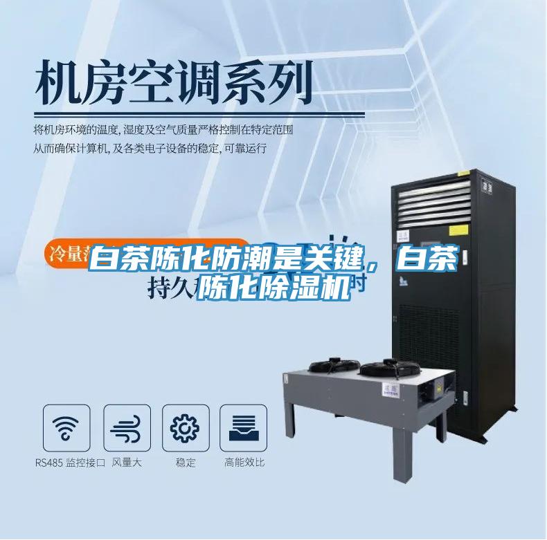 白茶陳化防潮是關(guān)鍵，白茶陳化除濕機(jī)