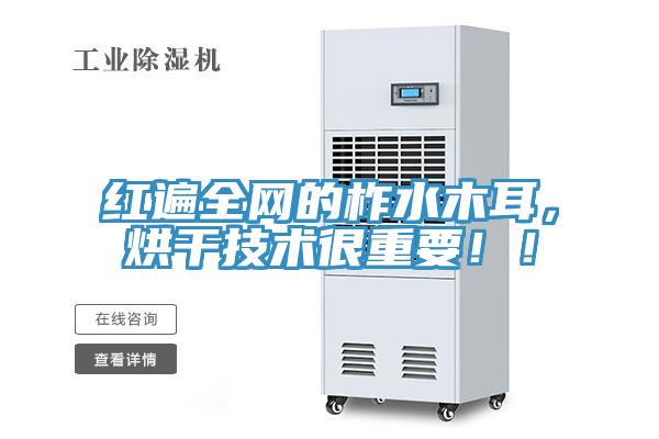 紅遍全網(wǎng)的柞水木耳，烘干技術(shù)很重要??！
