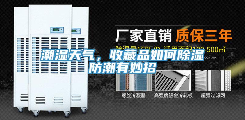 潮濕天氣，收藏品如何除濕防潮有妙招