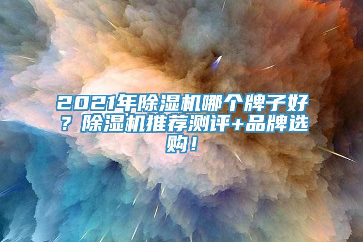 2021年除濕機哪個牌子好？除濕機推薦測評+品牌選購！